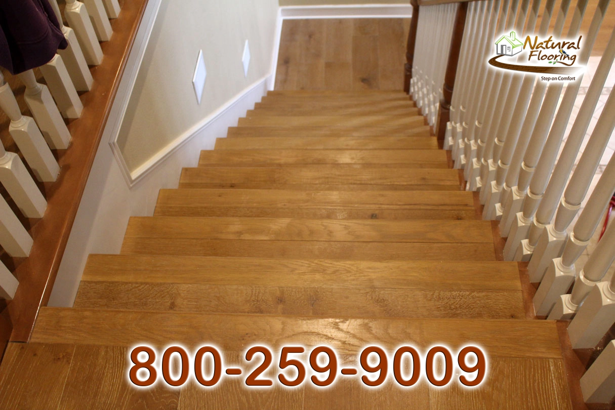 Pertusion European Oak Wood Floor