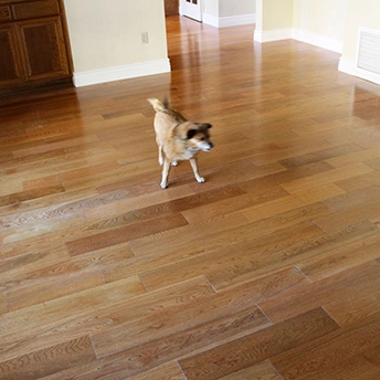 Oak Prarier Wheat Smooth Engineered Wood Floor Garrison 16