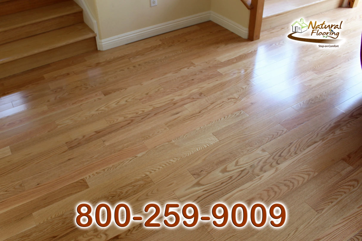 Natural Red Oak Wood Floor