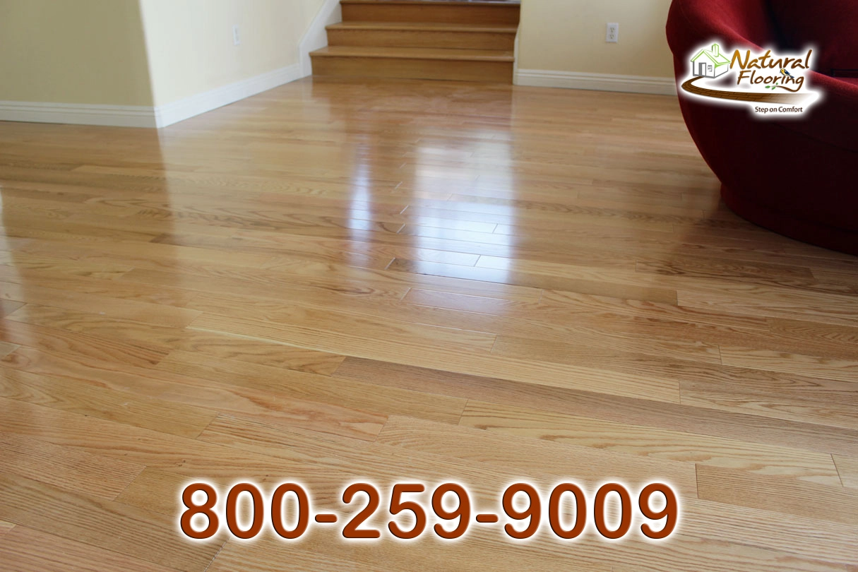 Natural Red Oak Wood Floor