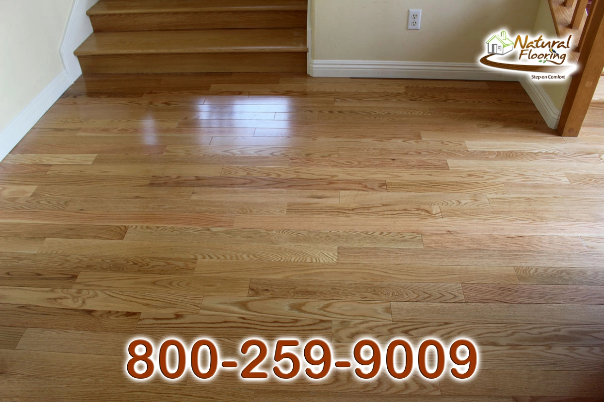 Natural Red Oak Wood Floor