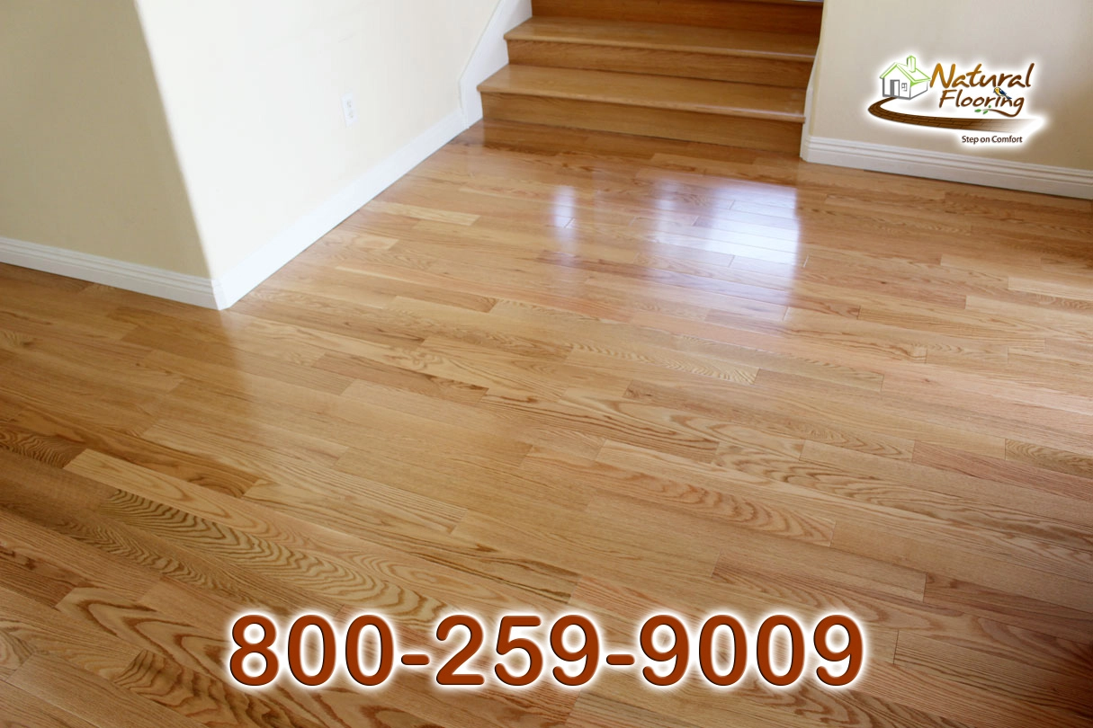 Natural Red Oak Wood Floor