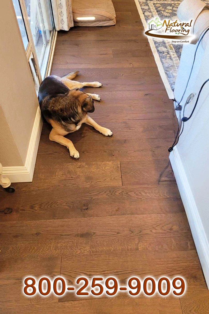 Oak Zenica European Wood Opus