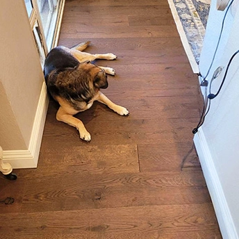 Zenica Euro Oak Opus 1 669273