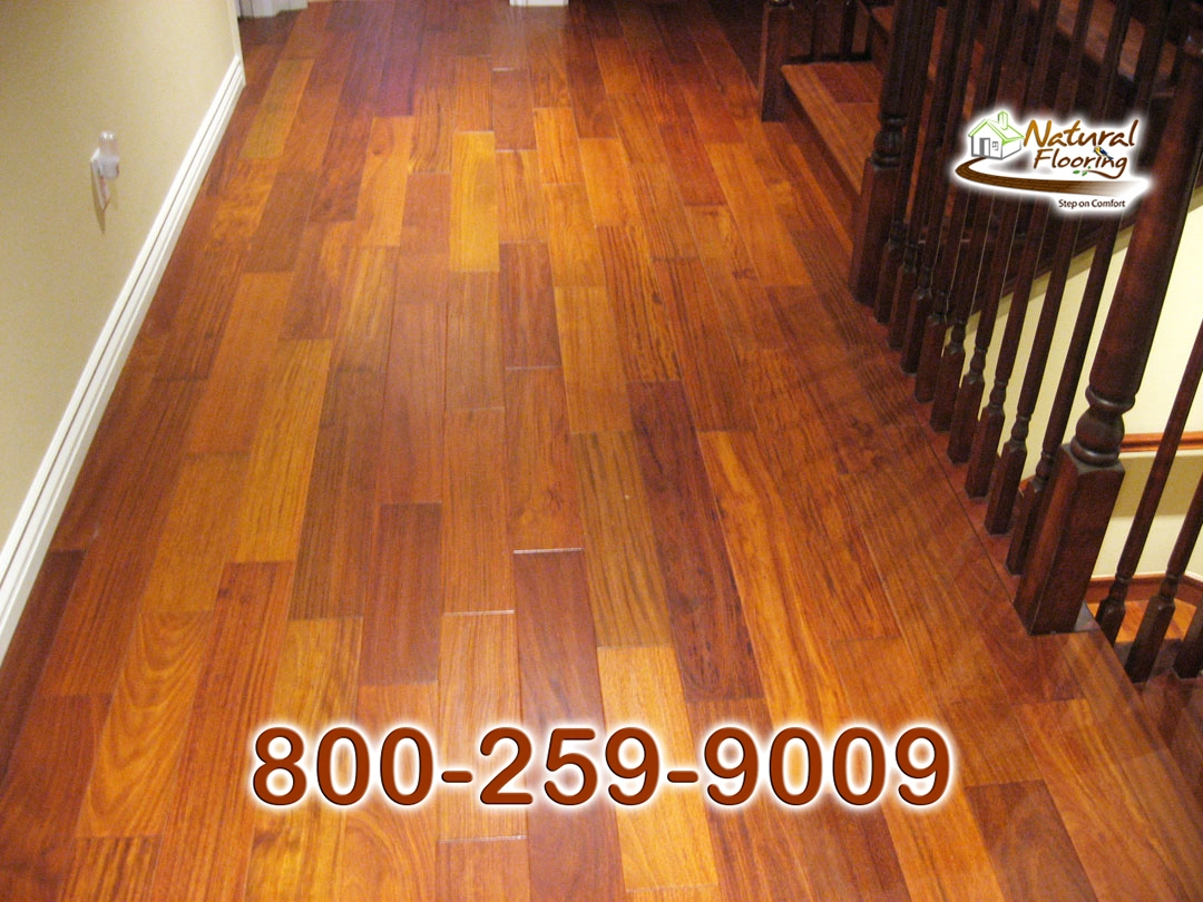 Santos Mahogany Wood Floor