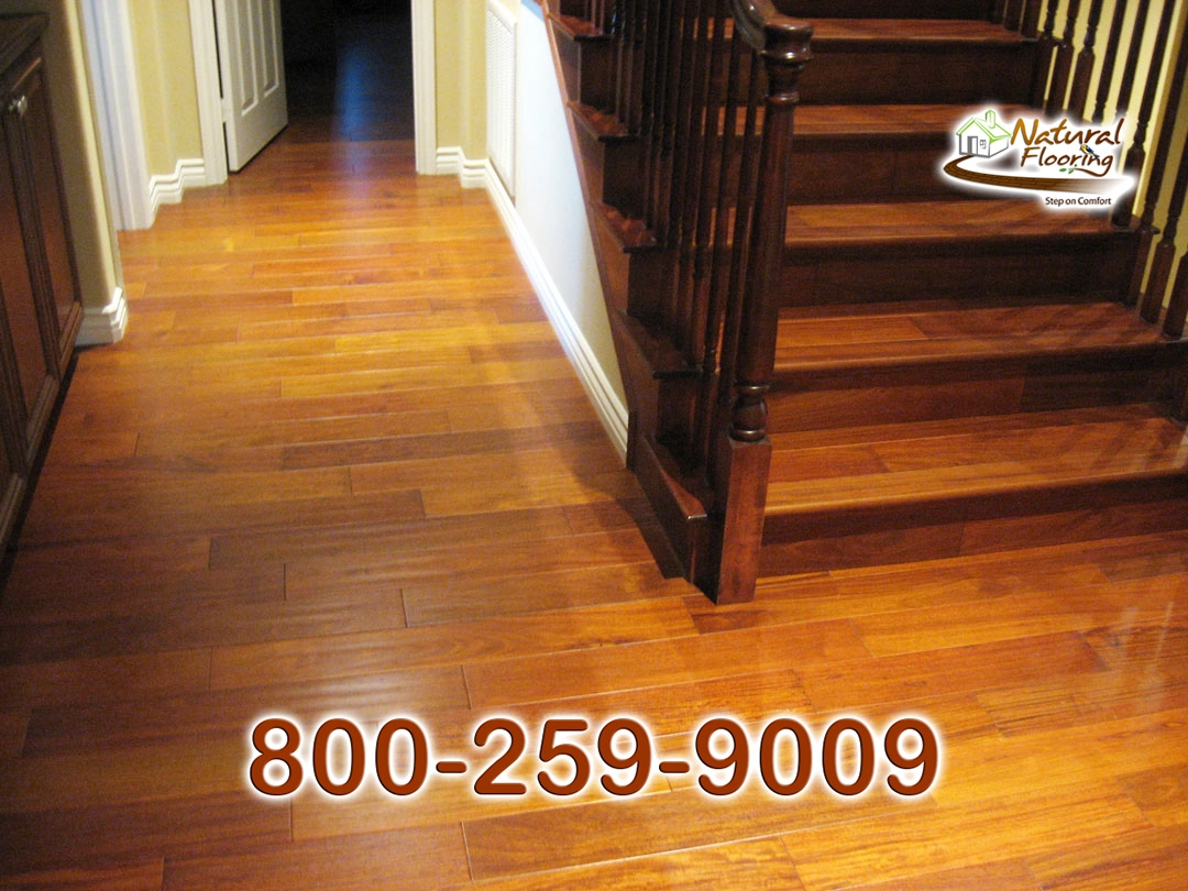 Santos Mahogany Wood Floor