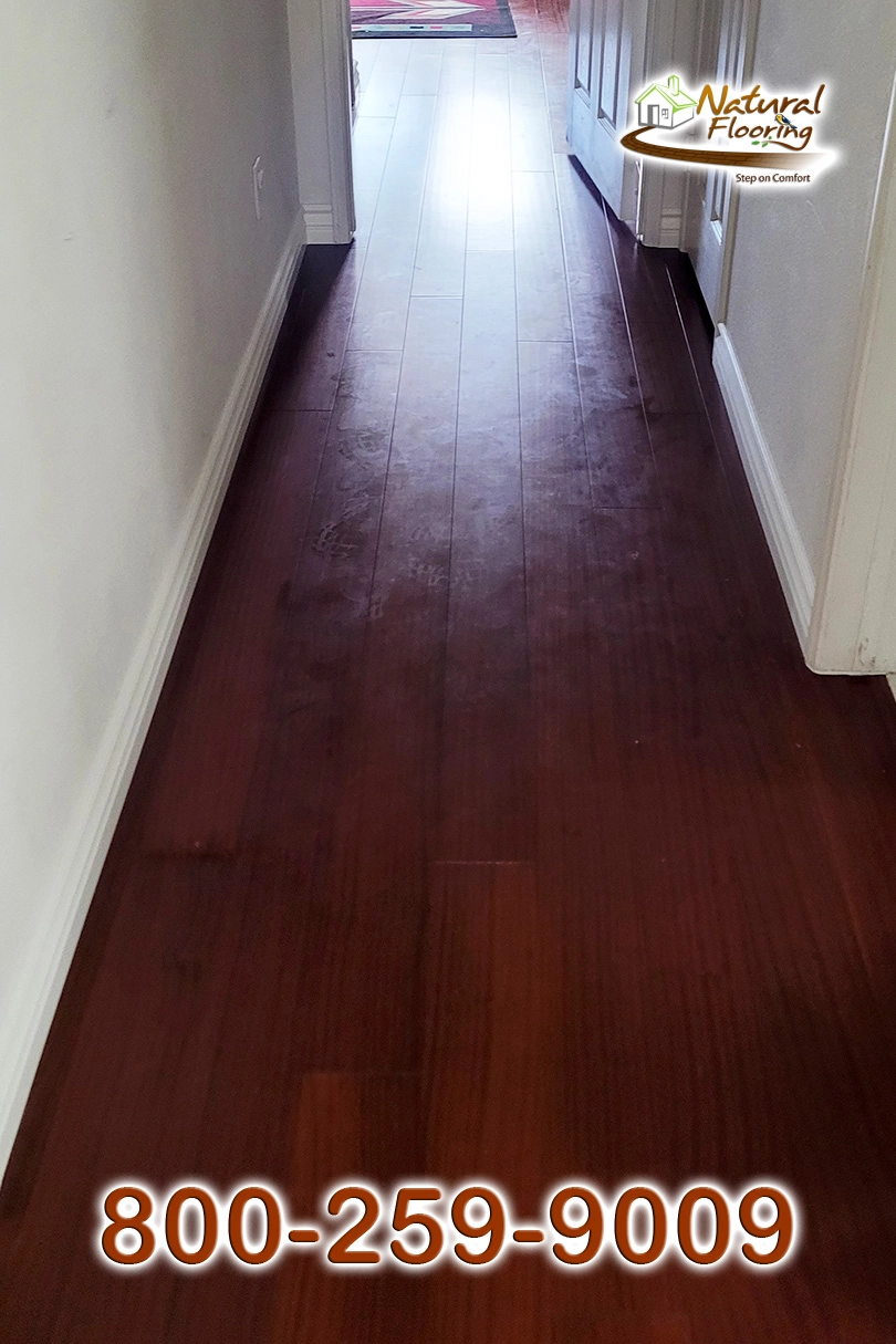Sapele Engineered Wood Floor