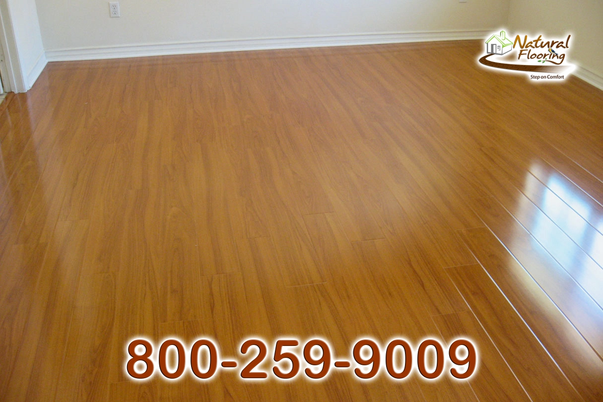 Birch Glossy Laminate Floor