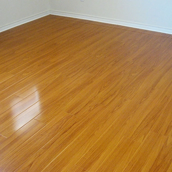 Birch Glossy Laminate Floor Eastwood 3