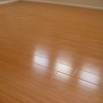 Birch Glossy Laminate Floor Eastwood 4