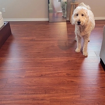 Brazilian Cherry Distressed Laminate Floor Eastwood 1 846651