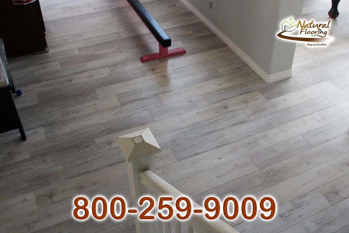 Catalina Creme European Oak Laminate Floor