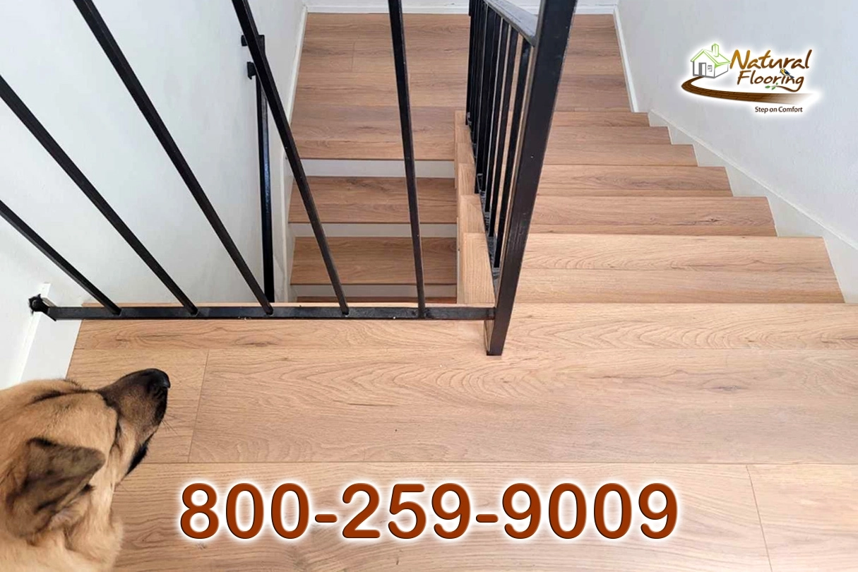 Cloud Rest Laminate Floor