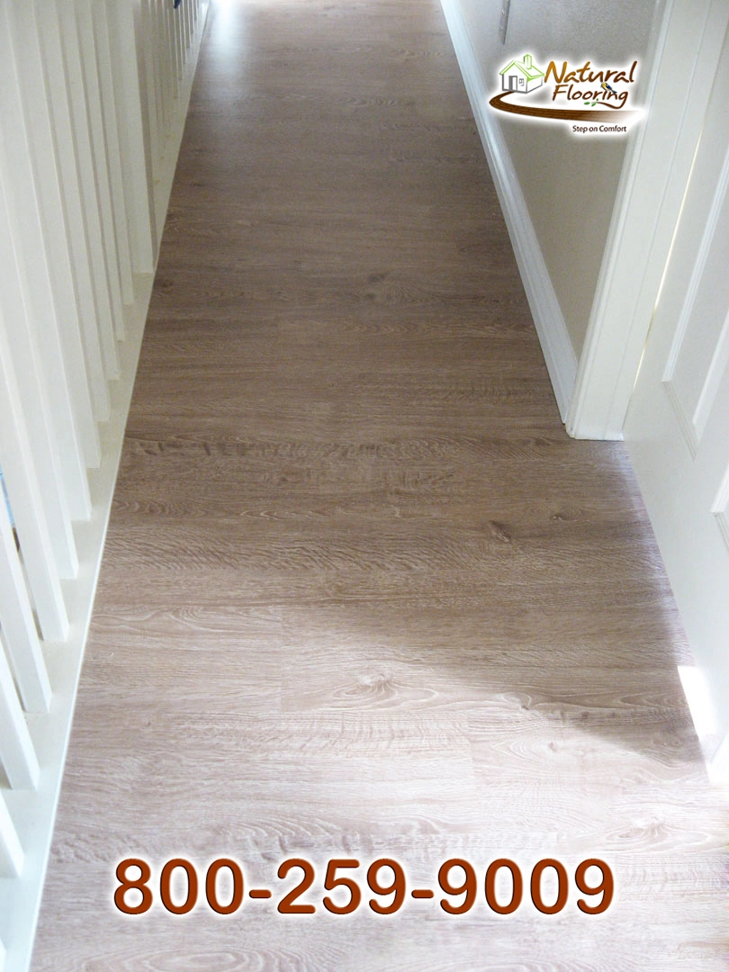 Coral Reef Laminate Floor