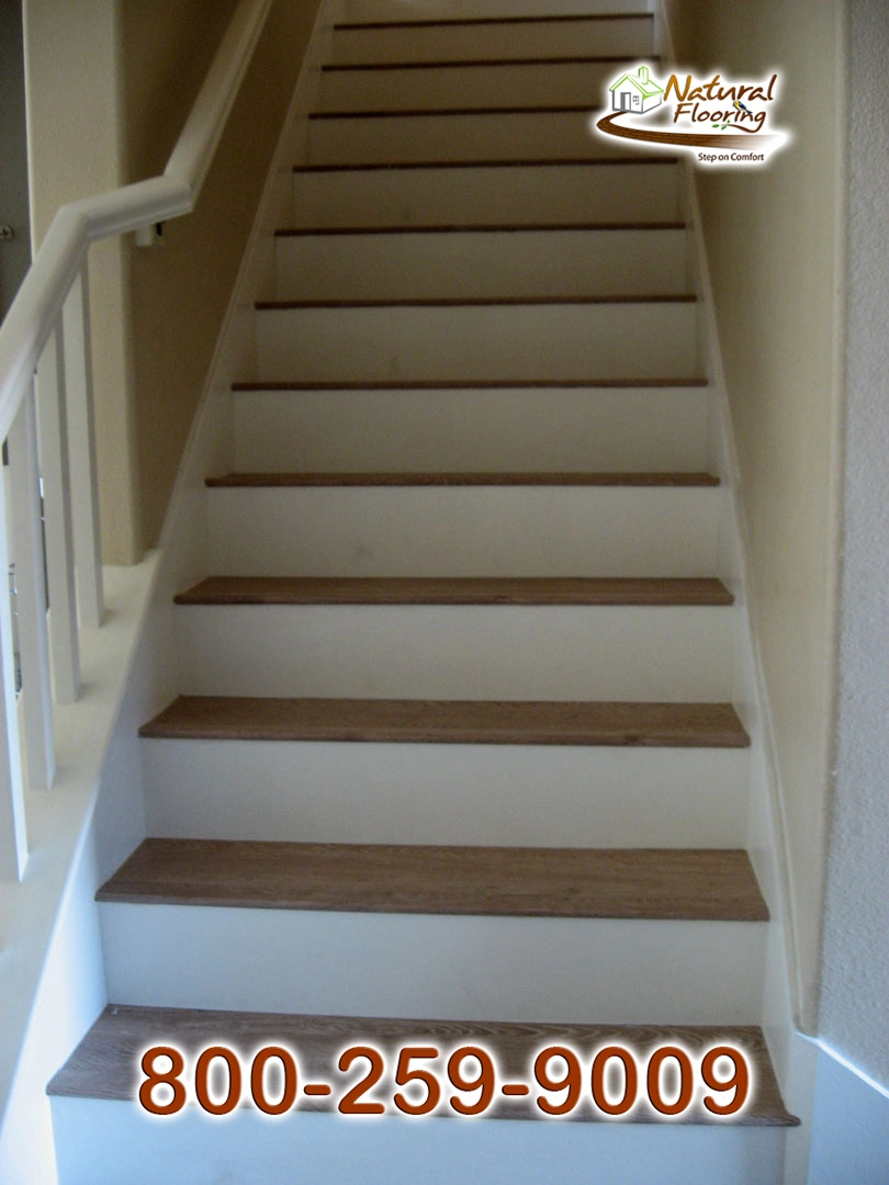 Coral Reef Laminate Floor