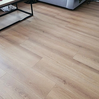 Dinan Laminate Floor Essen 2 624743