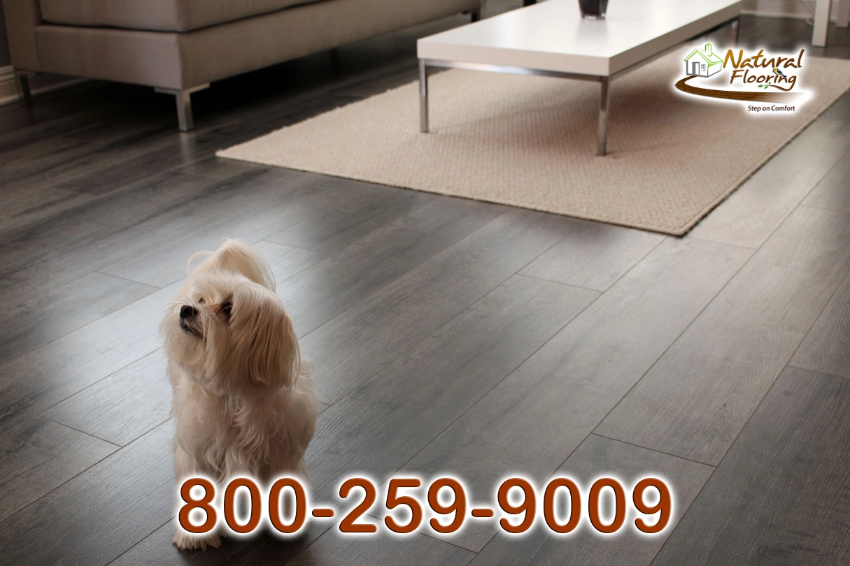 French Gray Laminate Floor