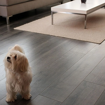 French Gray Laminate Floor Oasis 5