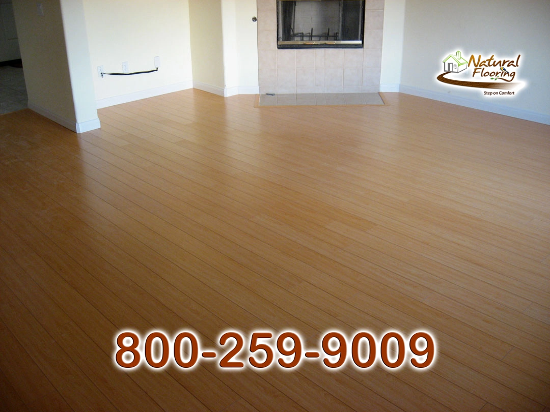 Honey Maple Laminate Floor