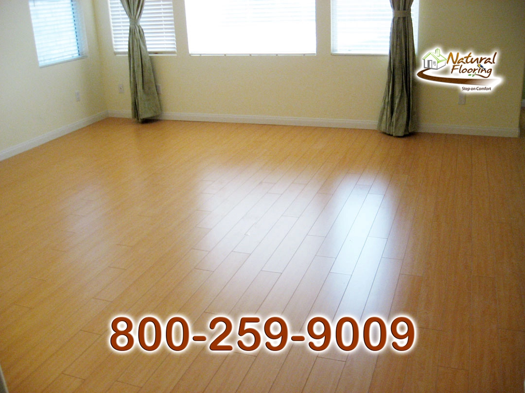 Honey Maple Laminate Floor