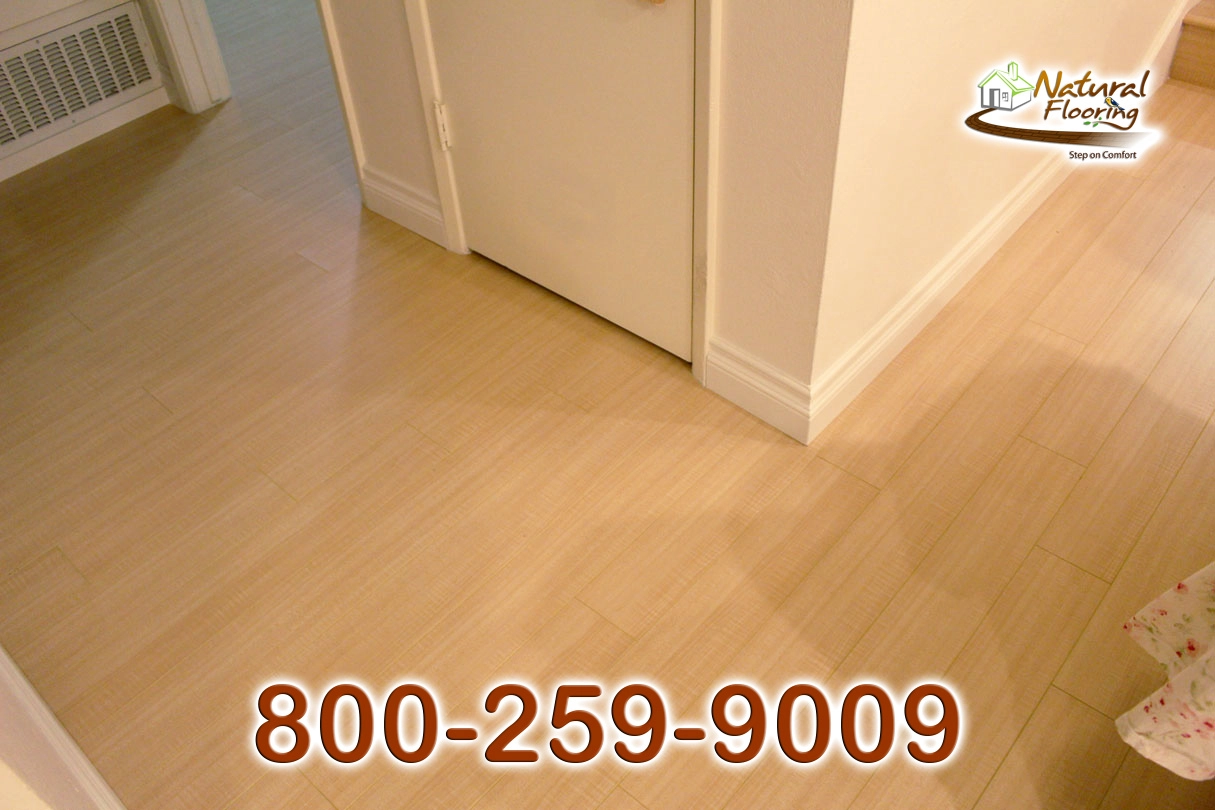 Honey Maple Laminate Floor