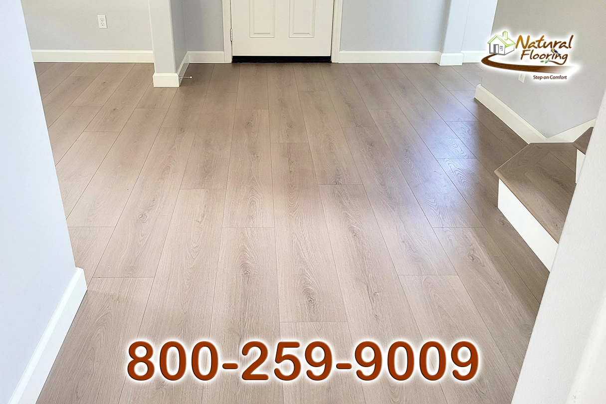 Valencia Laminate Floor