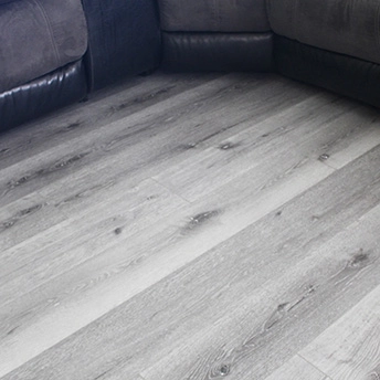 Chateau SPC Floor Lions13