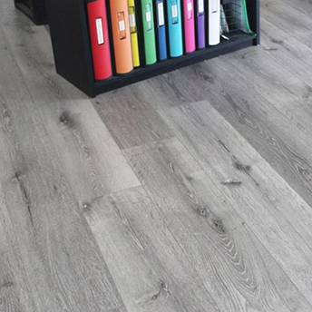 Chateau SPC Floor Lions14