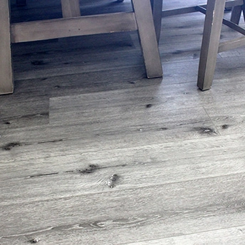 Chateau SPC Floor Lions3