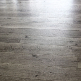 Chateau SPC Floor Lions6