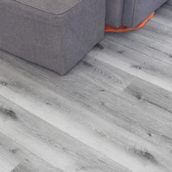 Chateau SPC Floor Lions7