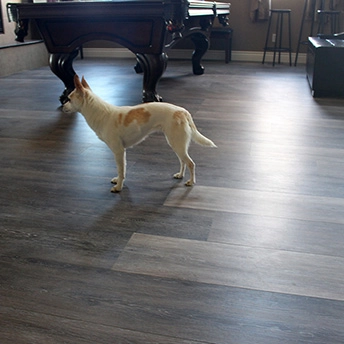 Frosty Ebany SPC Floor Lions 3