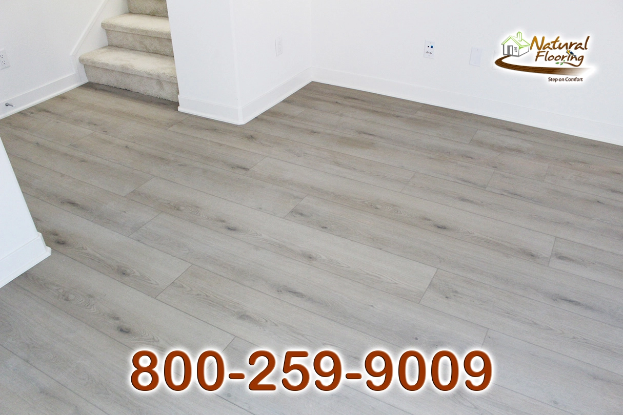 Kingman Reef SPC Floor