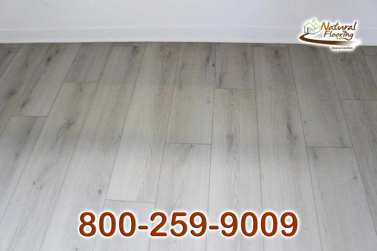 Kingman Reef SPC Floor