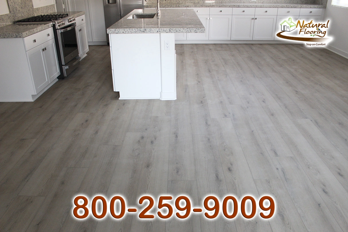 Kingman Reef SPC Floor