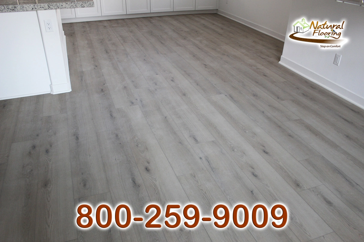 Kingman Reef SPC Floor