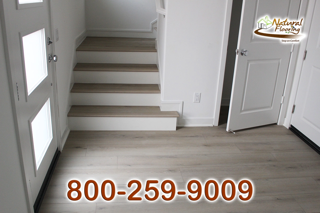 Kingman Reef SPC Floor