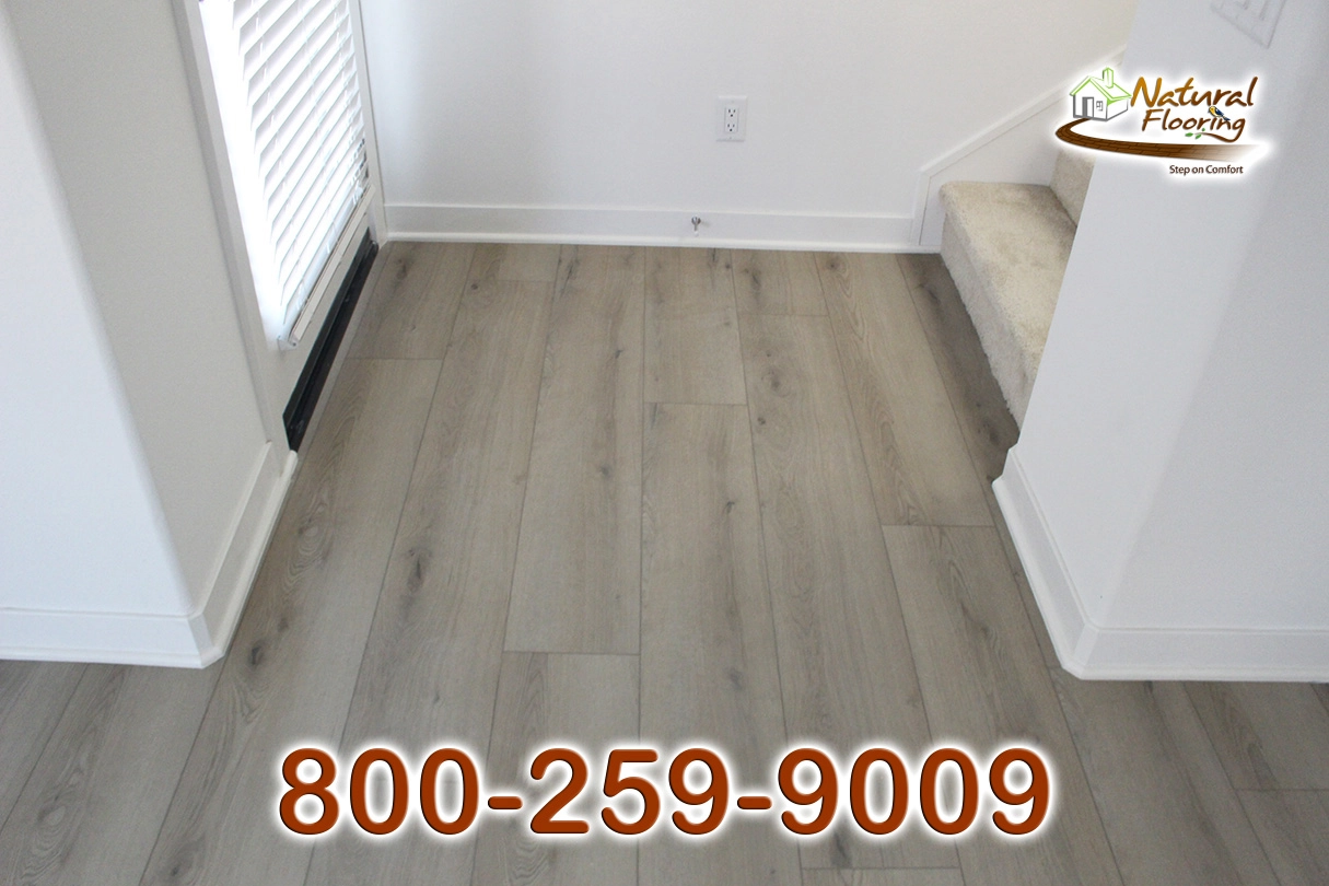 Kingman Reef SPC Floor