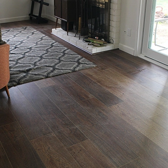 Lourie SPC Floor Lions 2