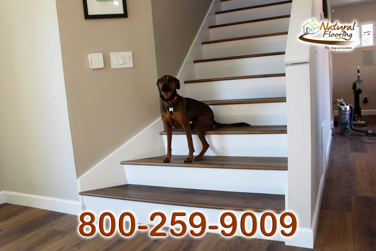 Nordic Field SPC Floor