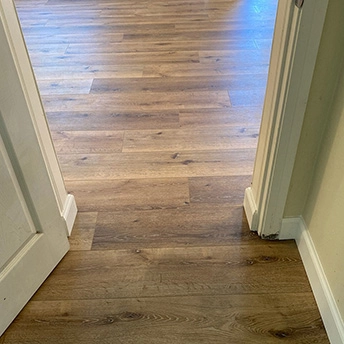 Sequoria SPC Floor Lions 1