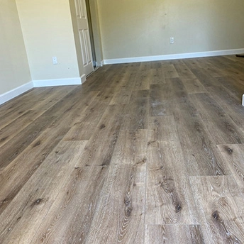 Sequoria SPC Floor Lions 2