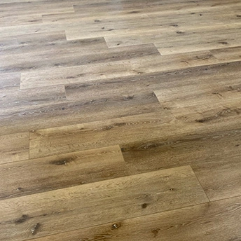 Sequoria SPC Floor Lions 5