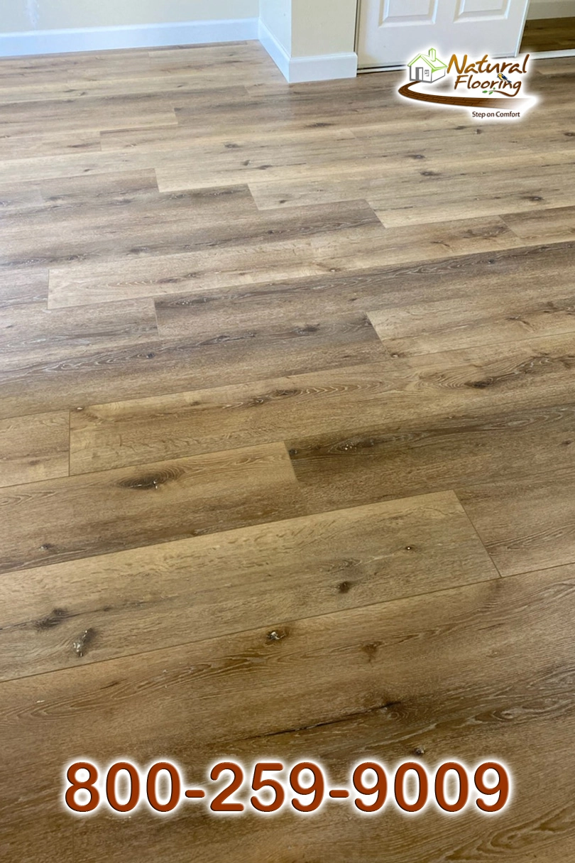 Sequoria SPC Floor Lions