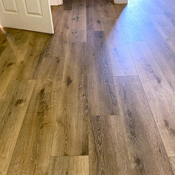 Sequoia SPC Floor Lions 3 411997