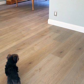 Tournette SPC Floor Bellissima 1