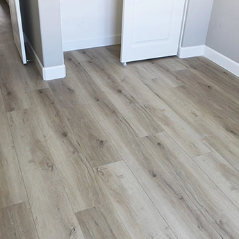 Tresor SPC Floor Lions 1