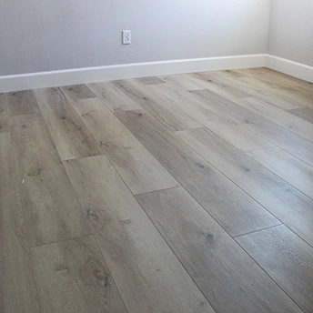 Tresor SPC Floor Lions 2