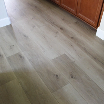 Tresor SPC Floor Lions 6