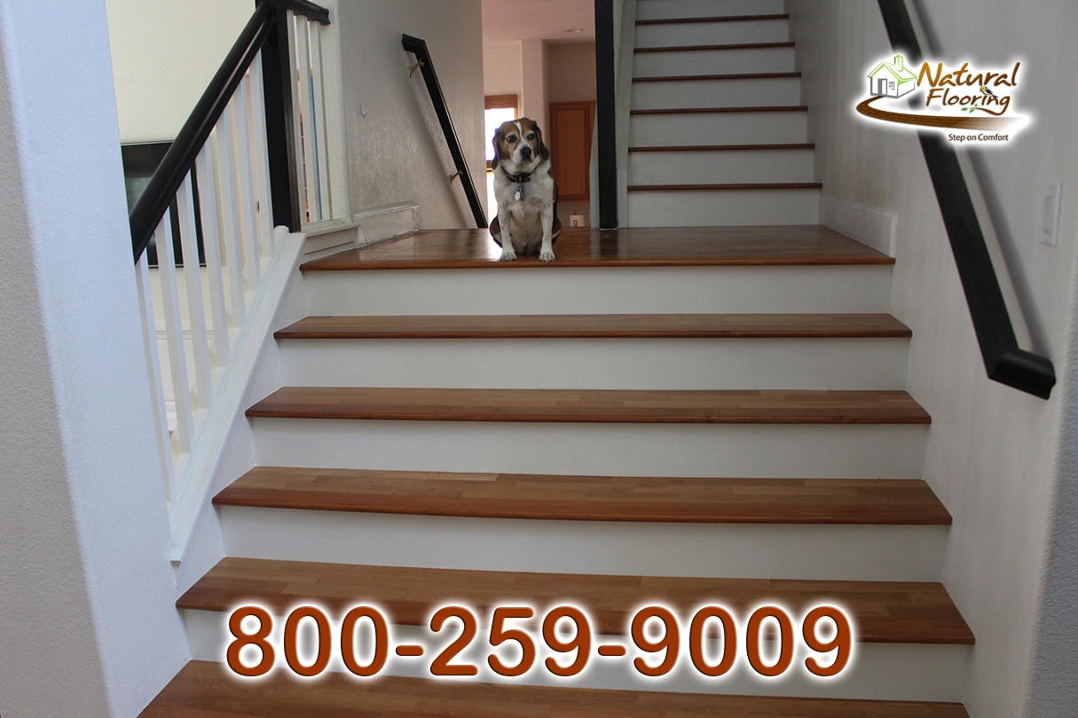Closed Step White Riser No Skirtboard